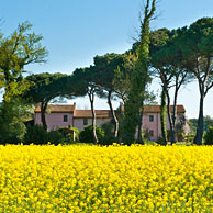 Le Tagliate Bed and Breakfast a Vecchiano - Pisa